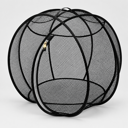 ZoomBall