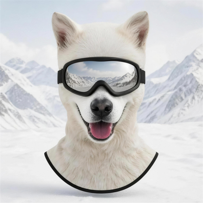 PawClava